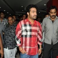 Jr NTR at Oosaravelli Specital Show - Pictures | Picture 96345